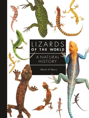cover image of Lizards of the World